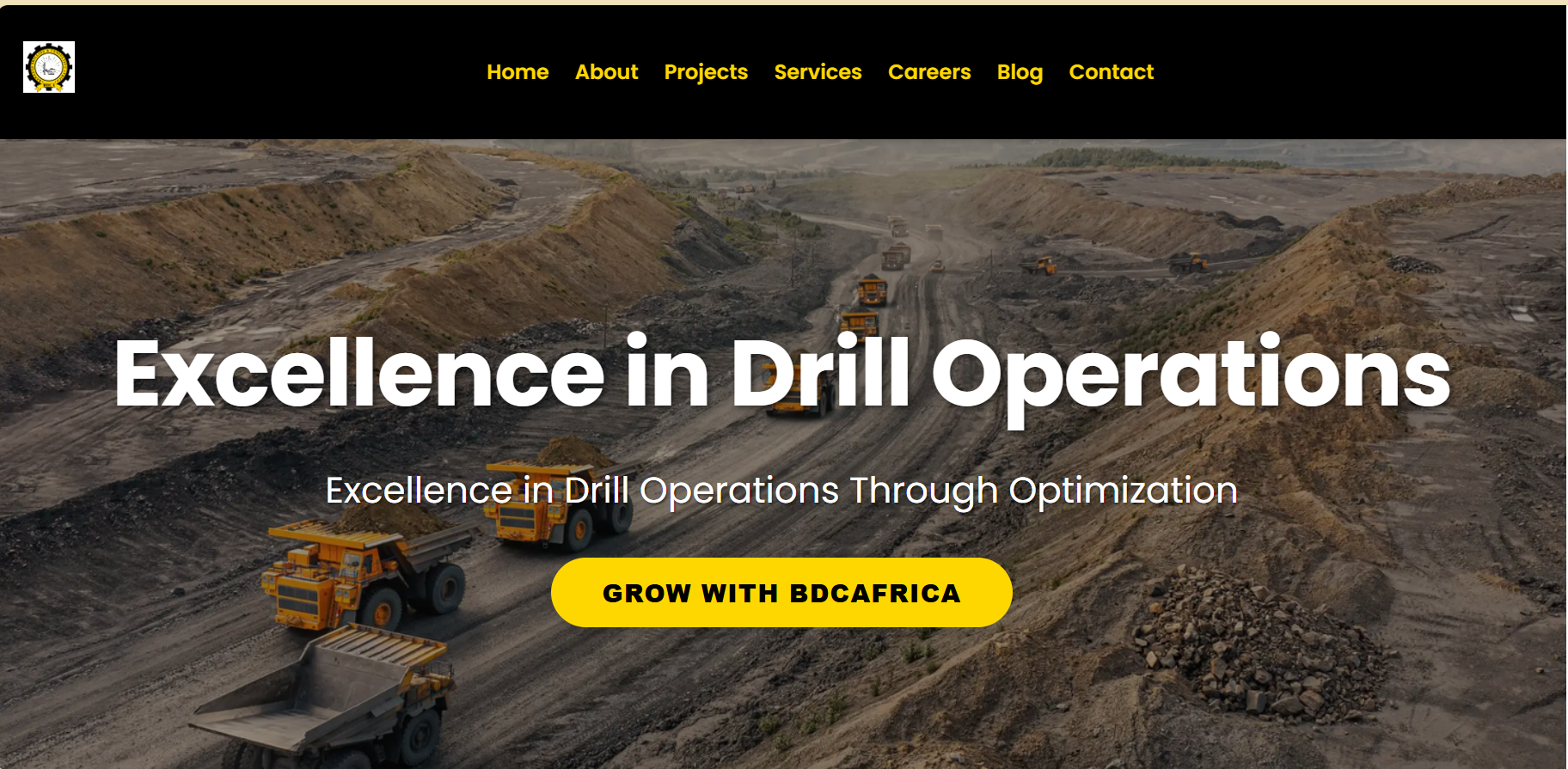 BDCAfrica Website
